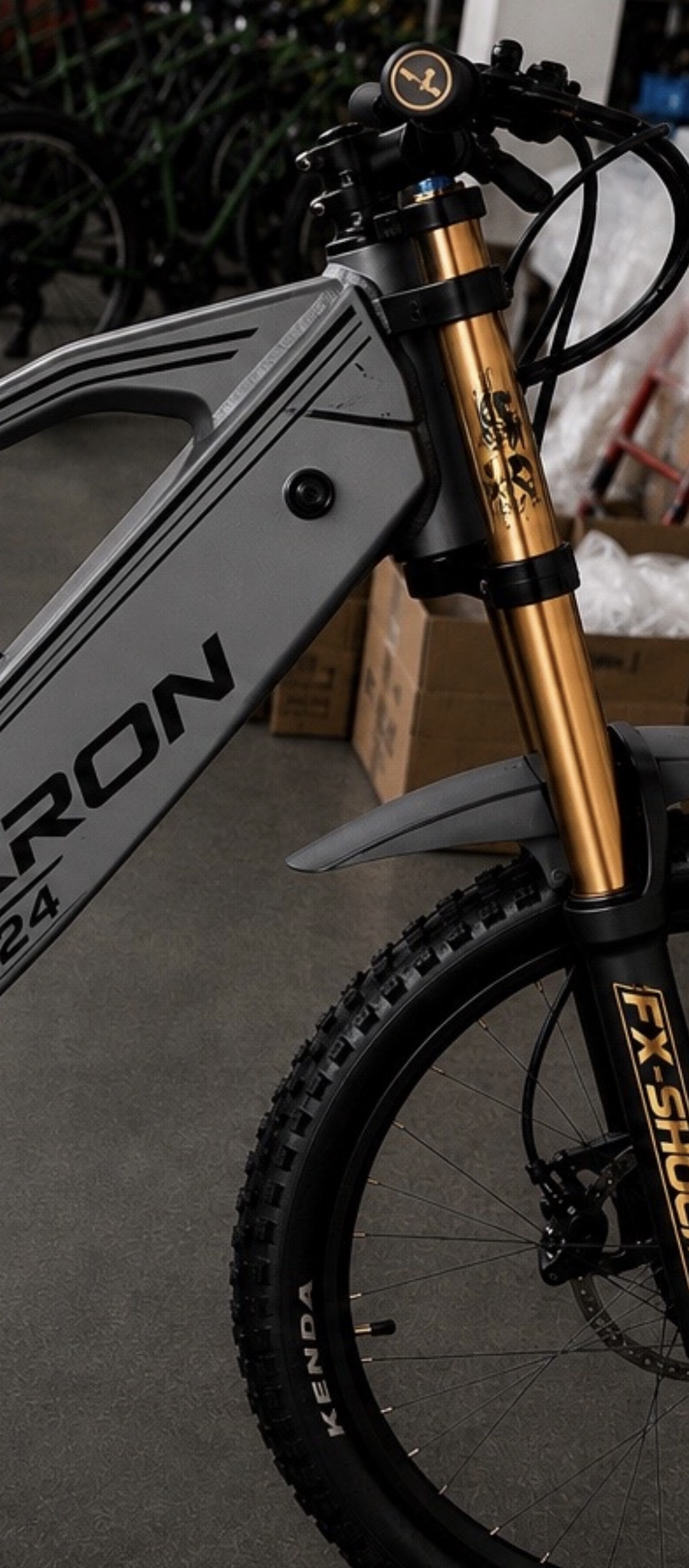 E-Ron 24" electric mountain bike